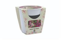 Sweet Pea Memory Pot - Flowering Gift Set