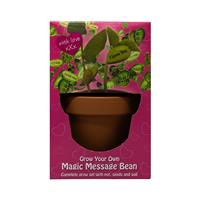 Magic Bean Grow Sets