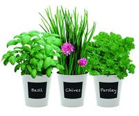 Trio Herb Gift Set