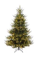 Christmas Tree - Prelit Brunswick Pine - Approx. 7ft