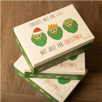 Sprouts for Life - Christmas Eve Box - Pack of 3