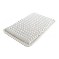 Air Filter 502680307