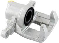 Pagid Caliper