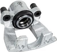 Pagid Caliper