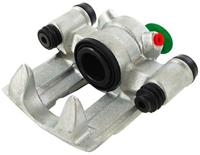 Pagid Caliper