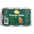 Wild Appetite Energy Balls for Wild Birds - Pack of 6