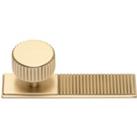 Reeded Knob with Backplate - Gold