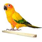 Happy Pet Wooden Perch for Birds 2 Pack - Budgie Cockatiel Nail Trim - Bird Cage