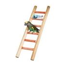 Six Step Cement Ladder, Great for Encouraging your bird to climb around