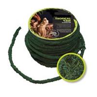 Komodo Reptile Climbing Vine 15m x 5mm - Natural Flexible Tropical Coconut Reel