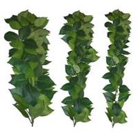 Komodo Ficus Hanging Silk Vine / Trailing Plant - Reptile Hiding Vivarium Decor