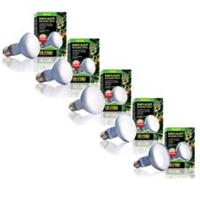 Exo Terra Daylight Basking Spot Bulb Reptile Broad-Spectrum Stimulating UVA Lamp