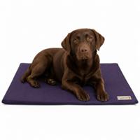 HugglePets Dog Bed Mat Purple Cushioned Waterproof Pet Pad Puppy Made In Britain