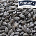Bucktons Black Sunflower Wild Bird Seed 500g 1kg 2kg 5kg in Individual Clear Bag