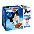 FELIX Kitten Mixed Selection Pack in Jelly Poultry, Beef,Tuna & Trout 12 x 100g