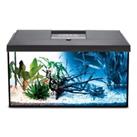 AquaEl Leddy 60 Aquarium Set Includes Filter, LED & 50w Heater 60 x 30 x 30cm