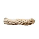 Sky Pets Cactus Perch, A nice teeth grinding toy stick for your pet, Small