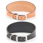 Ancol Greyhound Leather Dog Collar Whippet & Lurcher Tan or Black Puppy Comfort