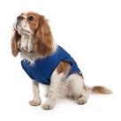 Ancol Dog Cooling Coat Summer Vest - Cool Down Water Pet Pup in Hot Heat Weather