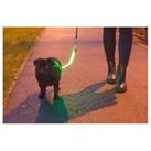 Ancol Hi-Vis Dog Lead or Collar - Attachment USB Rechargeable Night Safety Light