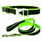 Go Walk Dog Collar / Lead LED Reflective Rainbow Puppy Safety Walking in 3 Sizes