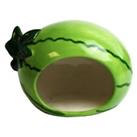 Small Animal Hide Out Ceramic Bed Hamster Happy Pet Critters Choice Watermelon