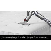 Dyson Ball Animal Multi-floor, Copper/ Silver