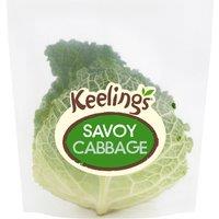Iceland Savoy Cabbage
