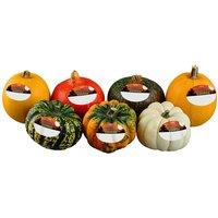 Iceland Halloween Squash