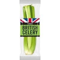 Iceland Celery