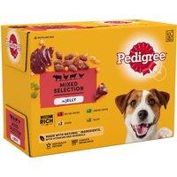 PEDIGREE Adult Wet Dog Food Mixed Selection in Jelly 12 x 100g Pouch