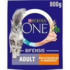 PURINA ONE Chicken Dry Cat Food 800g