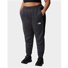 The North Face Mountain Athletics Fleece Track Pants Plus Size - Grey - Womens