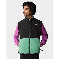 The North Face Denali Fleece Vest Jacket - Green - Mens