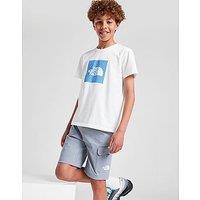 The North Face Trishull Shorts Junior - Grey