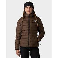 The North Face W Classic Down Hooded Jacket - Brown - Womens