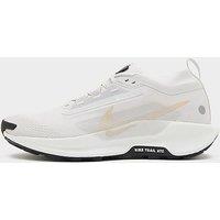 Nike Pegasus Trail 5 GORE-TEX - Grey - Mens