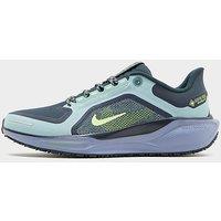 Nike Pegasus 41 GORE-TEX - Green - Mens