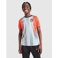 Nike Chelsea FC Pre Match Shirt Junior - Grey
