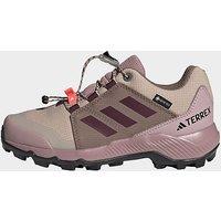 adidas Terrex Gore-tex Hiking Shoes - Brown