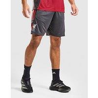 adidas Liverpool FC Tiro 25 Training Shorts - Black - Mens