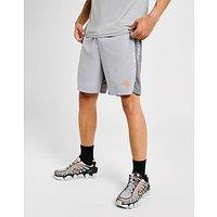 MONTIREX Proton Linear Shorts - Grey - Mens