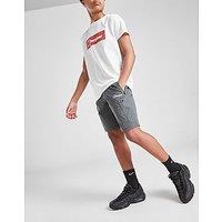 Berghaus Theran Shorts Junior - Grey