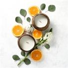 Coconut Shell Candle - Citrus Lime Scent
