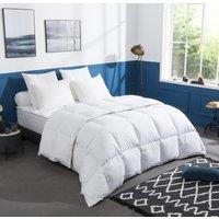 Warm 50% Duck Down Duvet