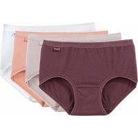 Pack of 4 Basic + Midi Knickers in Cotton