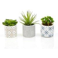 22cm Set of 3 Artificial Succulents in Henna Ceramic Pots