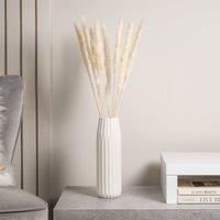 65-70cm Small White Pampas Grass Bunch (11 stems)
