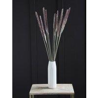 65-70cm Small Pampas Grass Natural Bunch (11 stems)