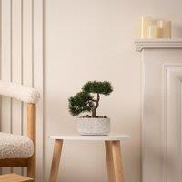26cm Artificial Bonsai in Cement Pot
